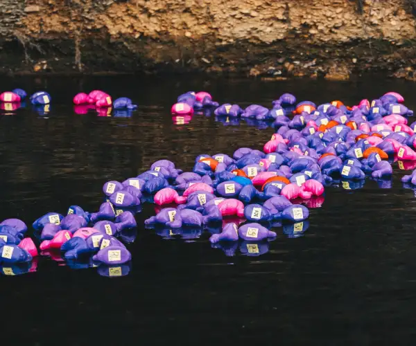 Derbyfest Duck race 8